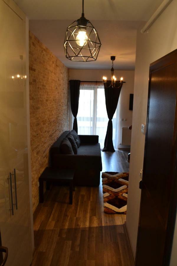 Apartament Golden Rose 1 Buşteni Zewnętrze zdjęcie