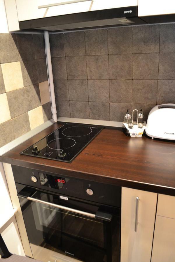 Apartament Golden Rose 1 Buşteni Zewnętrze zdjęcie
