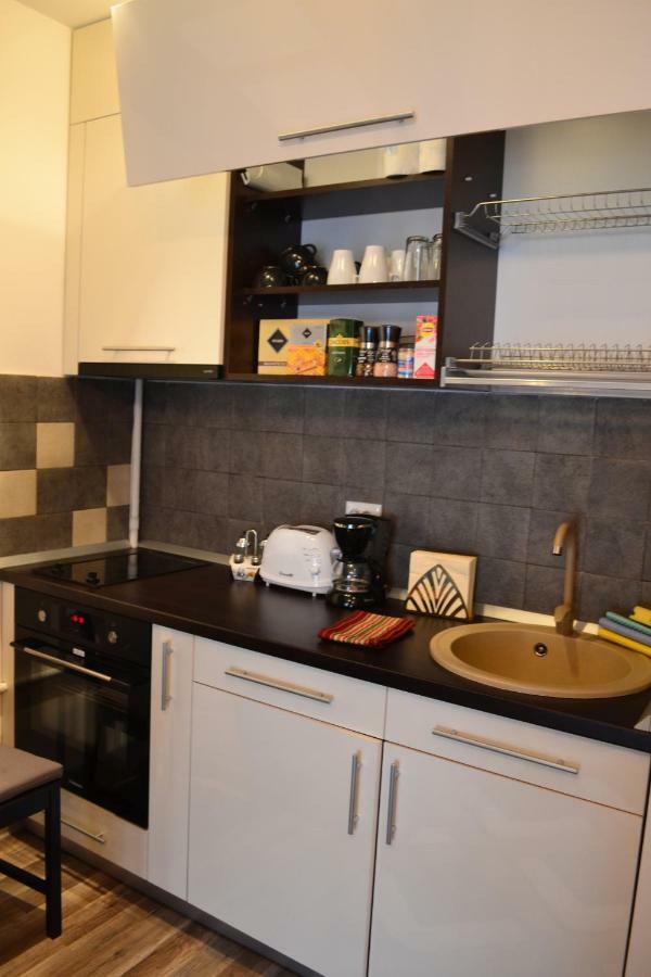 Apartament Golden Rose 1 Buşteni Zewnętrze zdjęcie