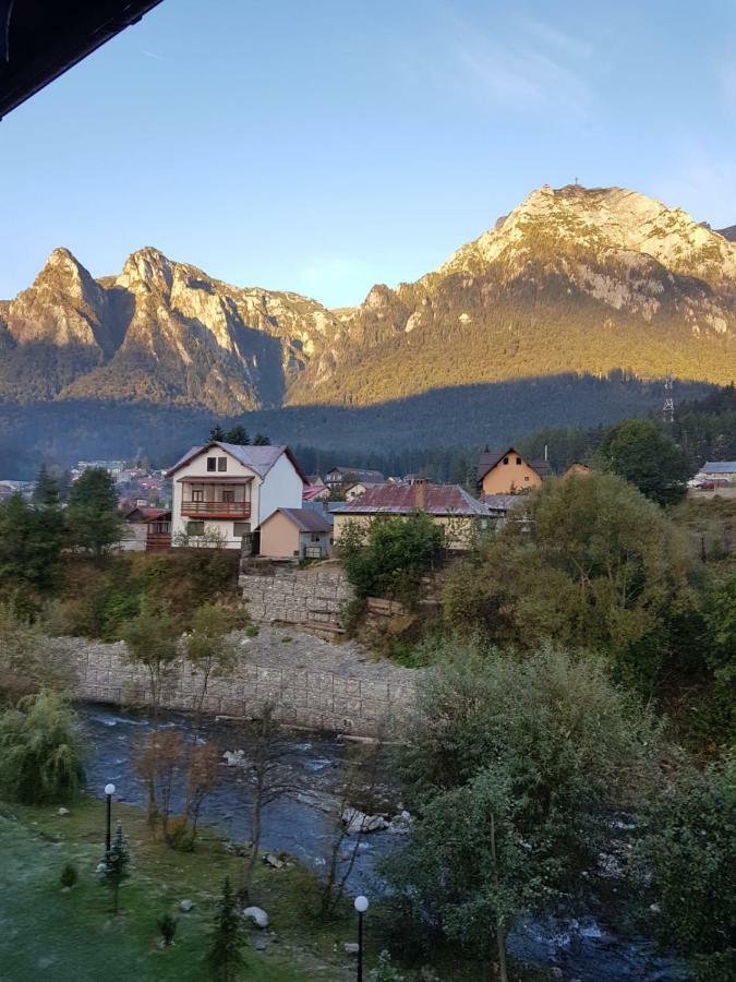 Apartament Golden Rose 1 Buşteni Zewnętrze zdjęcie