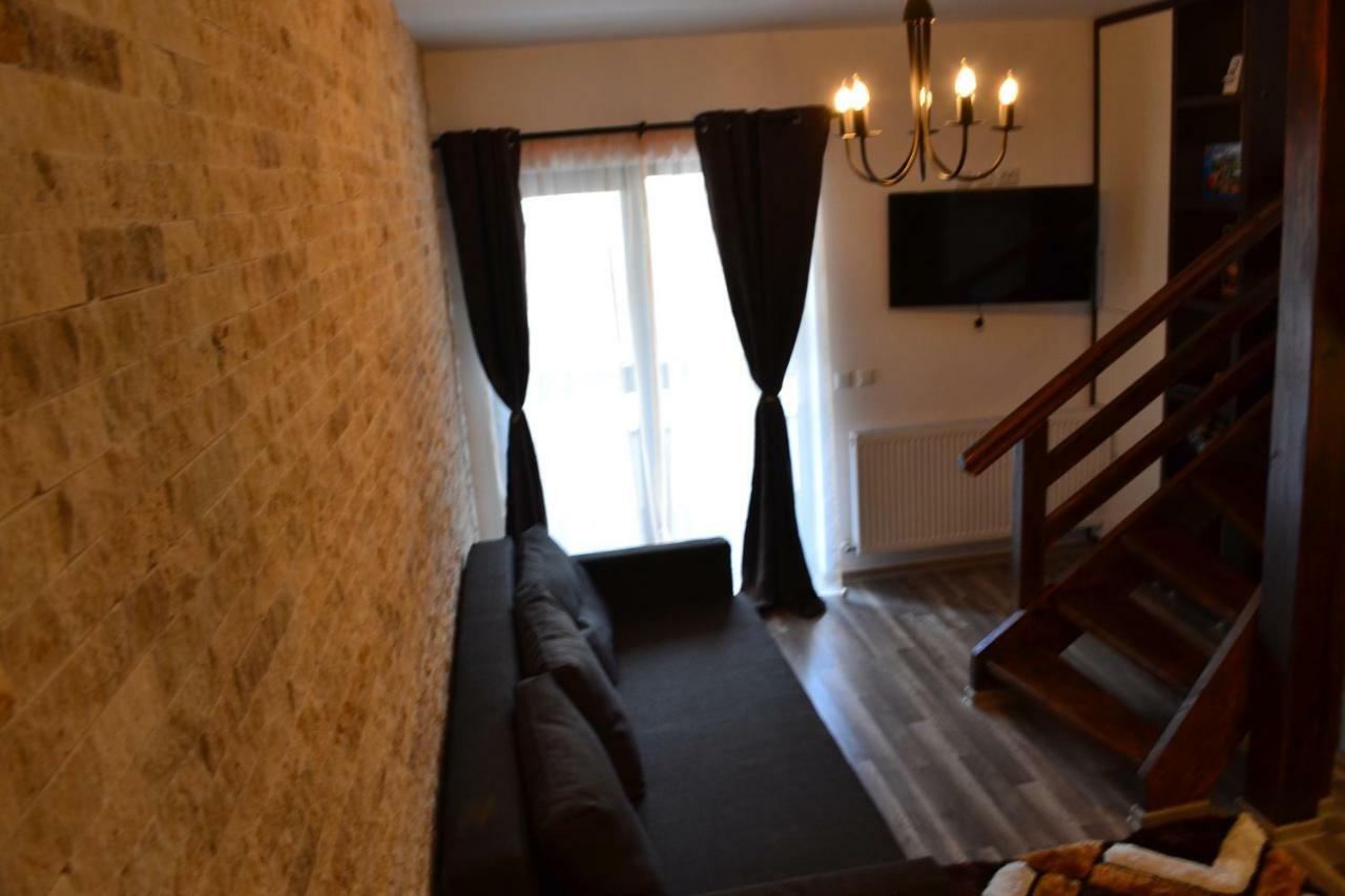 Apartament Golden Rose 1 Buşteni Zewnętrze zdjęcie