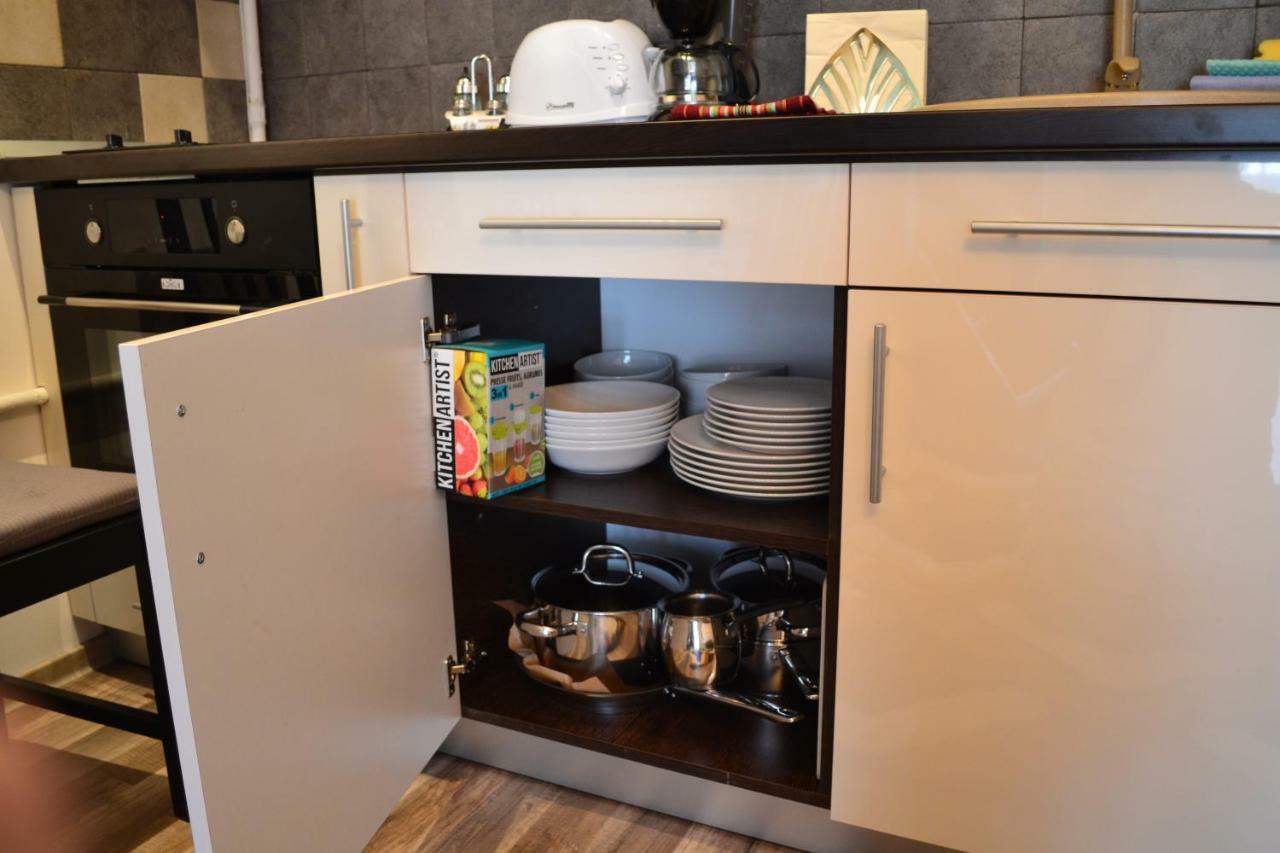 Apartament Golden Rose 1 Buşteni Zewnętrze zdjęcie
