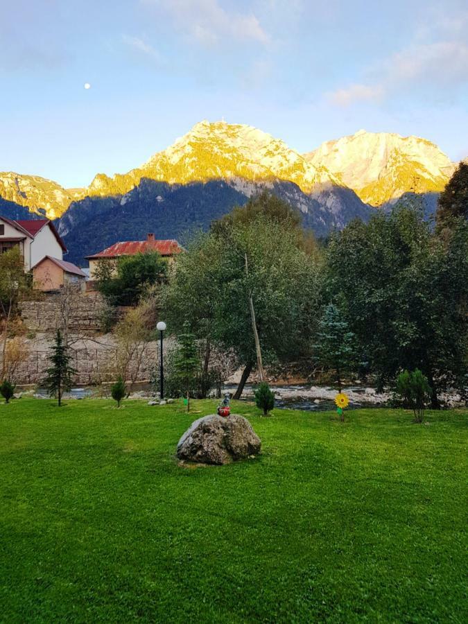 Apartament Golden Rose 1 Buşteni Zewnętrze zdjęcie